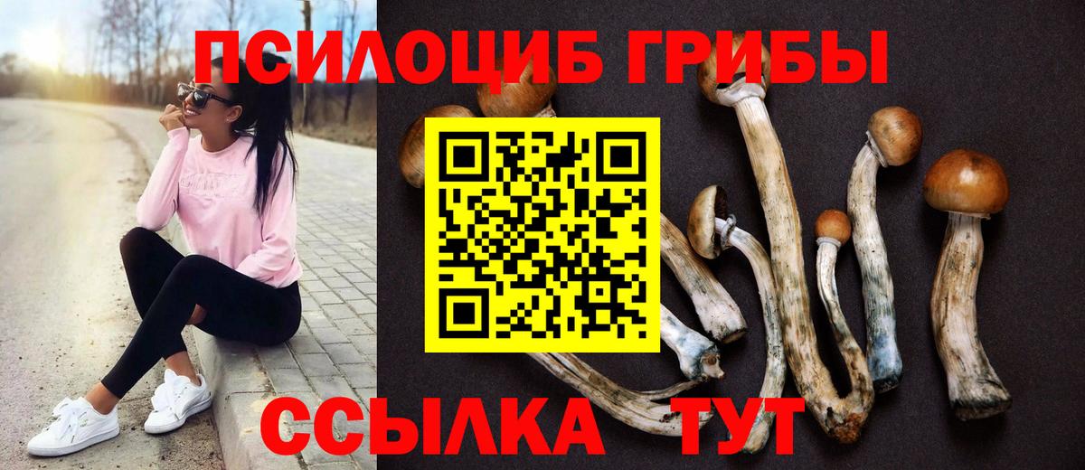 Галлюциногенные грибы мухоморы  Псилоцибиновые грибы мухоморы  Вход с VPN  Партизанск 