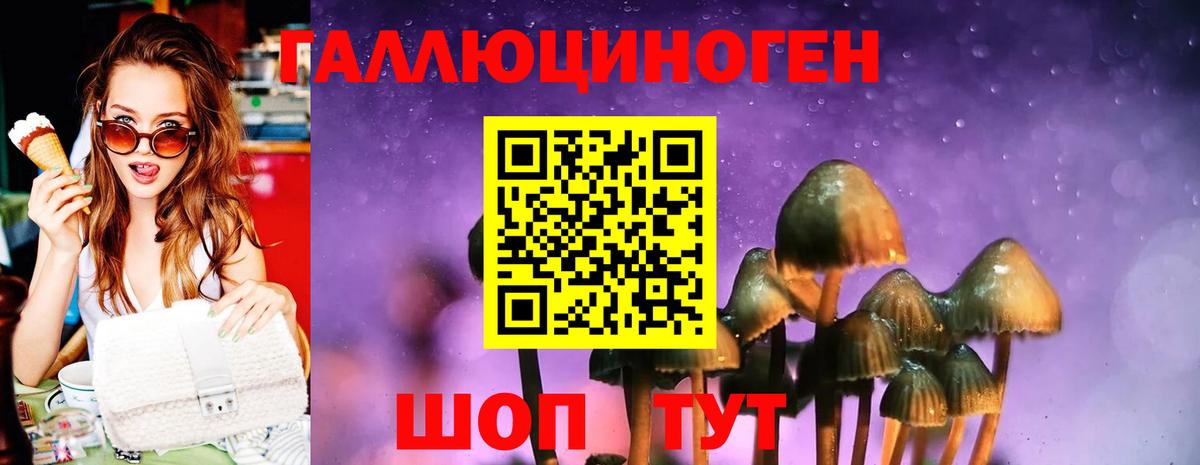 Псилоцибиновые грибы мицелий Партизанск